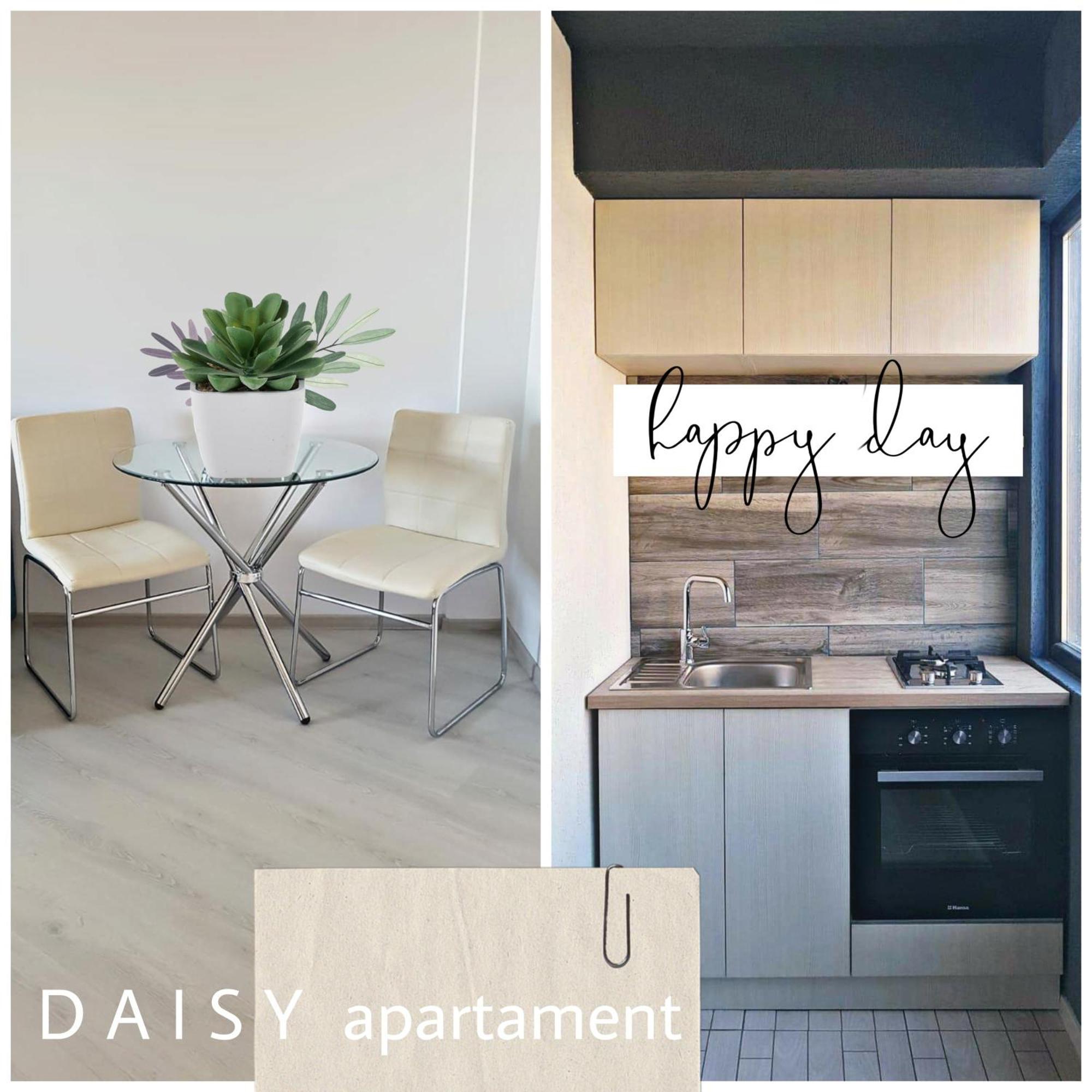 Daisy Apartament Năvodari Zewnętrze zdjęcie