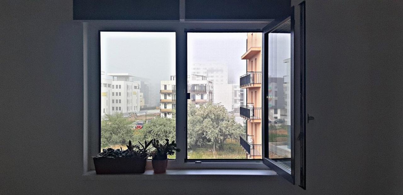 Daisy Apartament Năvodari Zewnętrze zdjęcie